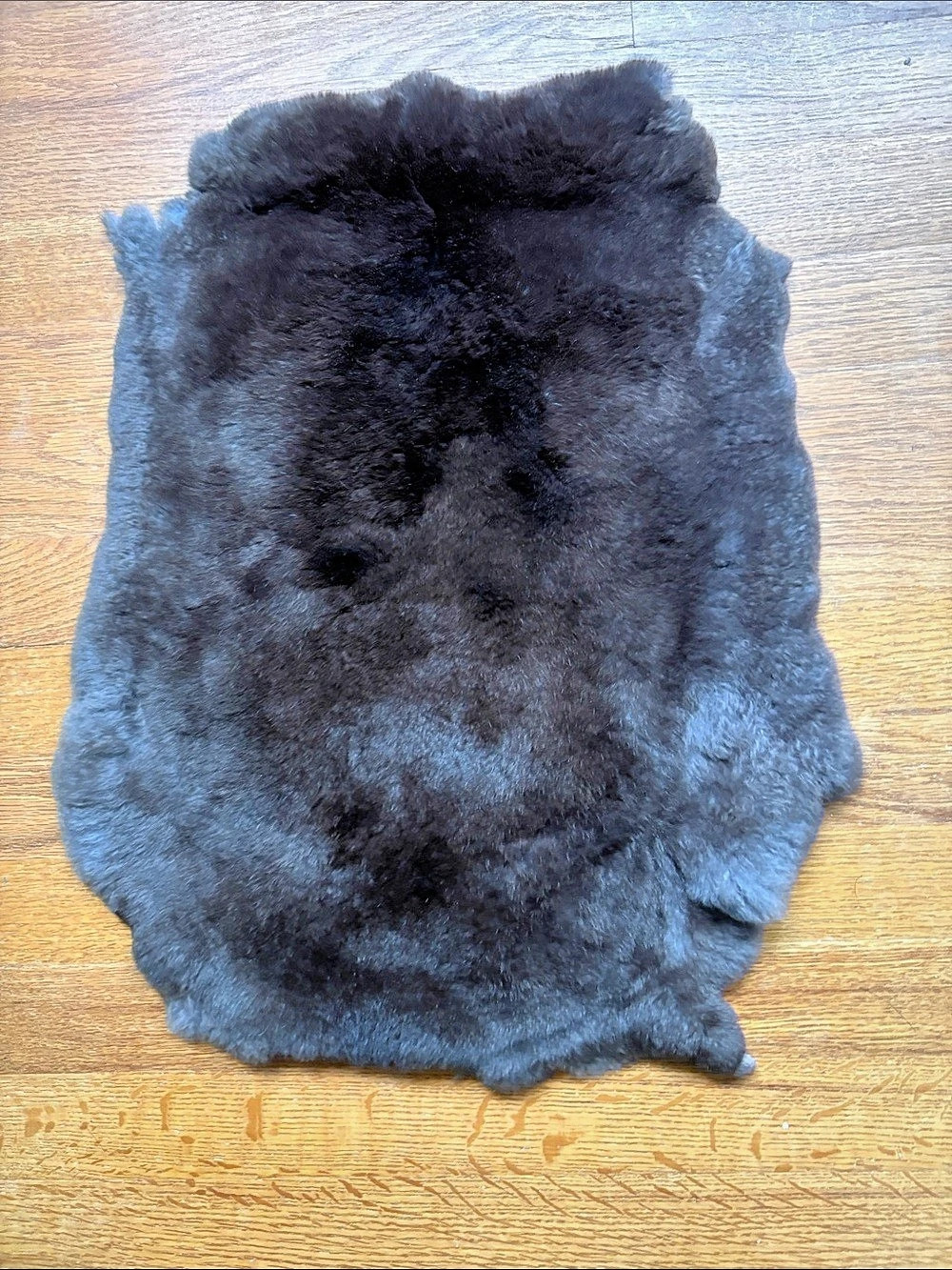 A360 Rex rabbit hide